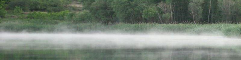 کاور اسکندر 