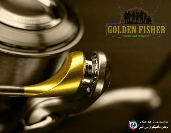 پرسش های کانال ماهیگیر طلایی