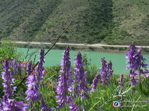 برگزاری دهمین جشنواره ماهیگیری خلخال به مناسبت گرامیداشت هفته محیط زیست  در سال 94