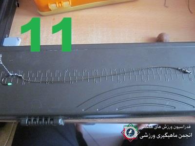 ریسه مویی برای کپور 