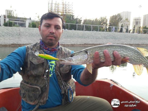 گزارش برگزاری اولین دوره رسمی مربیگری درجه 3 ماهیگیری ورزشی در ایران