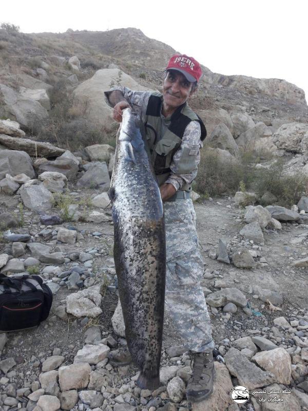 مصاحبه با ماهیگیران ورزشی برجسته ایران در کانال ماهیگیر طلایی